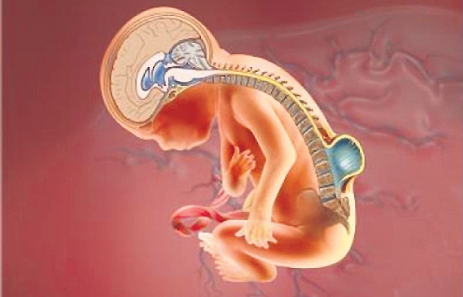 గర్భాన్ని తెరిచి పిండానికి ఆపరేషన్