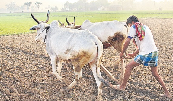 తొలి విడత 10 లక్షల  మందికి ‘పీఎం కిసాన్‌ ’