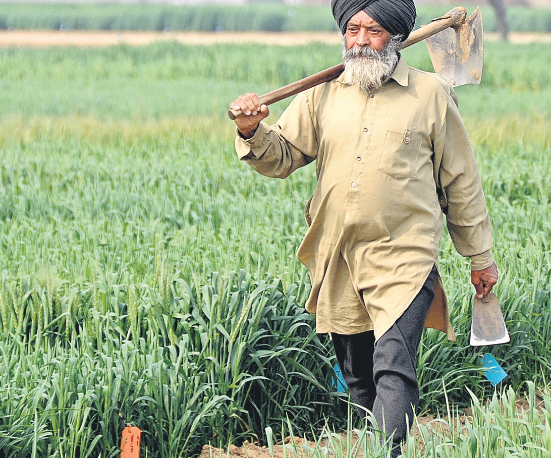 పంజాబ్‌ రైతుకు కోపమొచ్చింది!