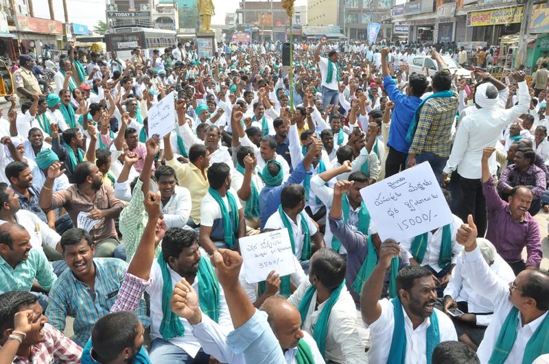 MP ఎన్నికల్లో పసుపు రైతులు వెయ్యి మంది పోటీ