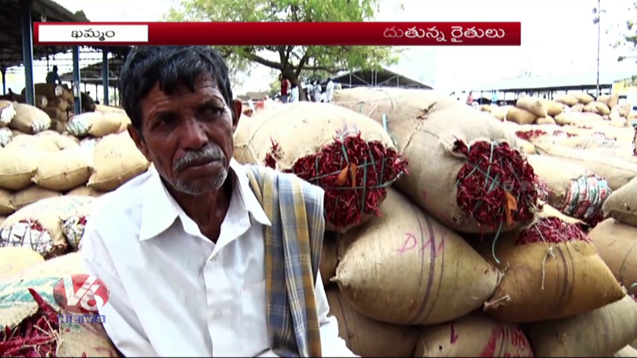 Mirchi Farmers Facing Prices Problems In Khammam Mirchi Market
