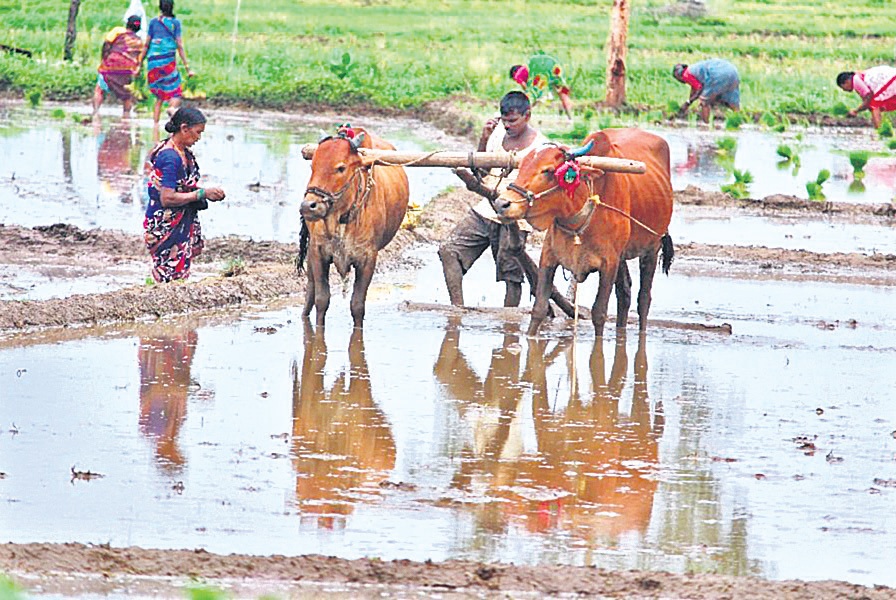 మే చివరి వారంలో రైతుబంధు