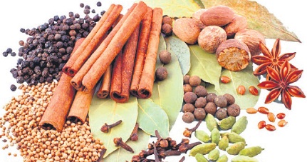 యాలక్కాయలు, లవంగాలు.. మనం పండించలేమా?