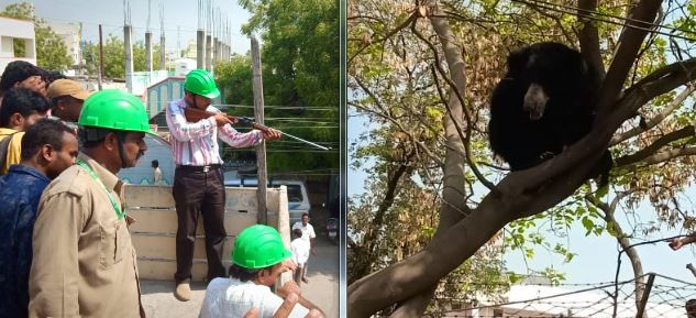 జనగాం బస్టాండ్ లో గుడ్డెలుగు హడల్