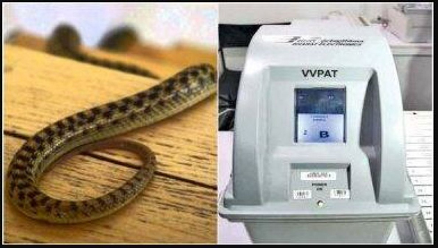 మూడో విడత పోలింగ్ : VVPAT లో పాము