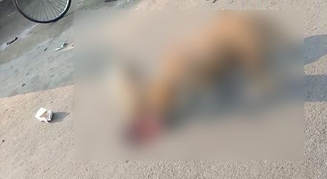 కనికరంలేని కన్నవారు.. చెత్తకుప్పలో పసికందు