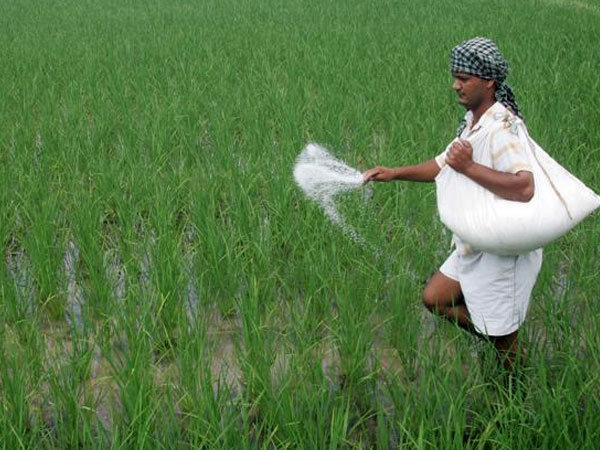 దేశవ్యాప్తంగా సాధారణ వర్షపాతం: IMD
