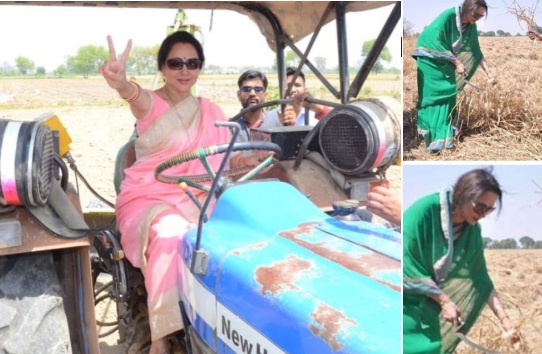 నిన్న గడ్డి కోసింది నేడు ట్రాక్టర్ నడిపింది..