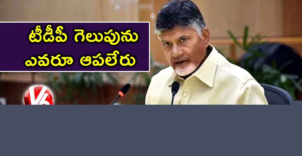 టీడీపీ గెలుపును ఎవరూ ఆపలేరు : చంద్రబాబు