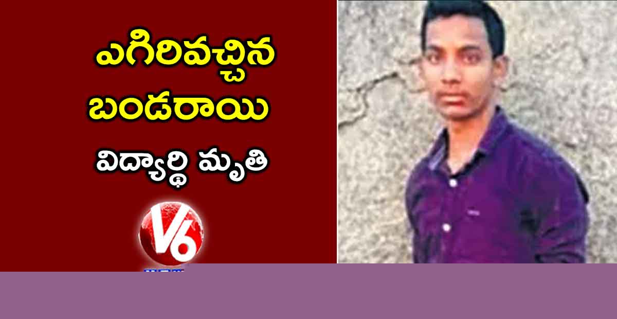 ఎగిరివచ్చిన బండరాయి : విద్యార్థి మృతి