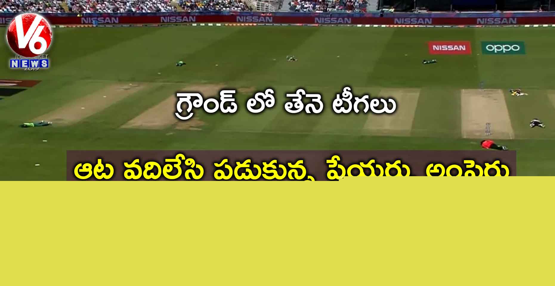 గ్రౌండ్ లో తేనె టీగలు : ఆట వదిలేసి పడుకున్న ప్లేయర్లు, అంపైర్లు