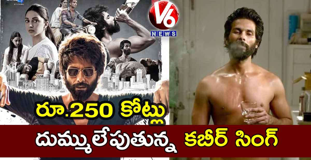 రూ.250 కోట్లు.. దుమ్ములేపుతున్న కబీర్ సింగ్