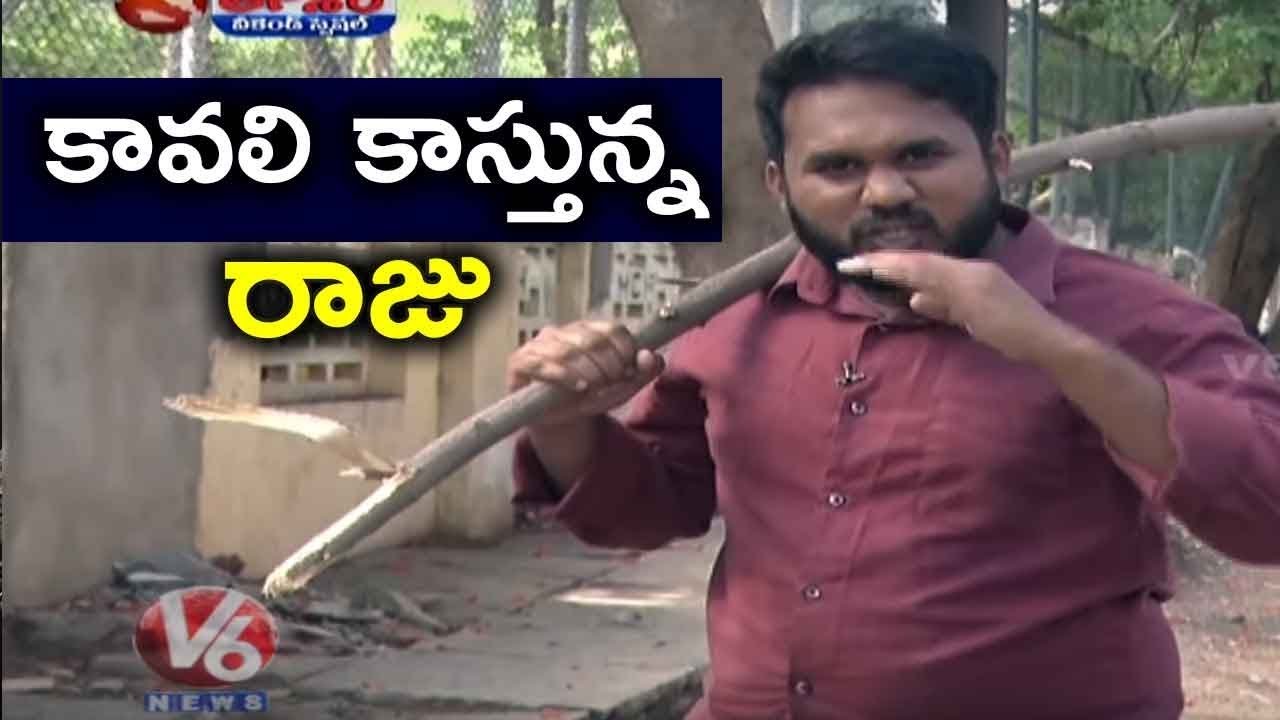 Gappala Raju Over Snake Gang Thieves | Raju Conversation With Padma