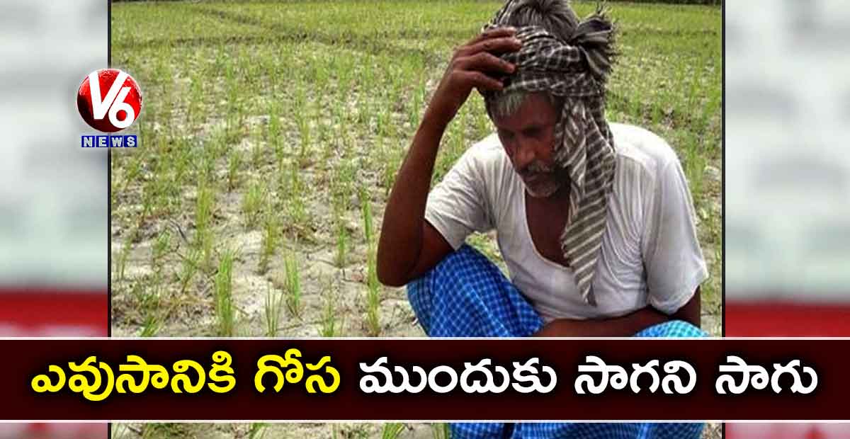 ఎవుసానికి గోస..ముందుకు సాగని సాగు