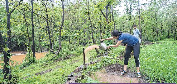 తయారవుతున్నాయ్ ప్రైవేట్​ అడవులు