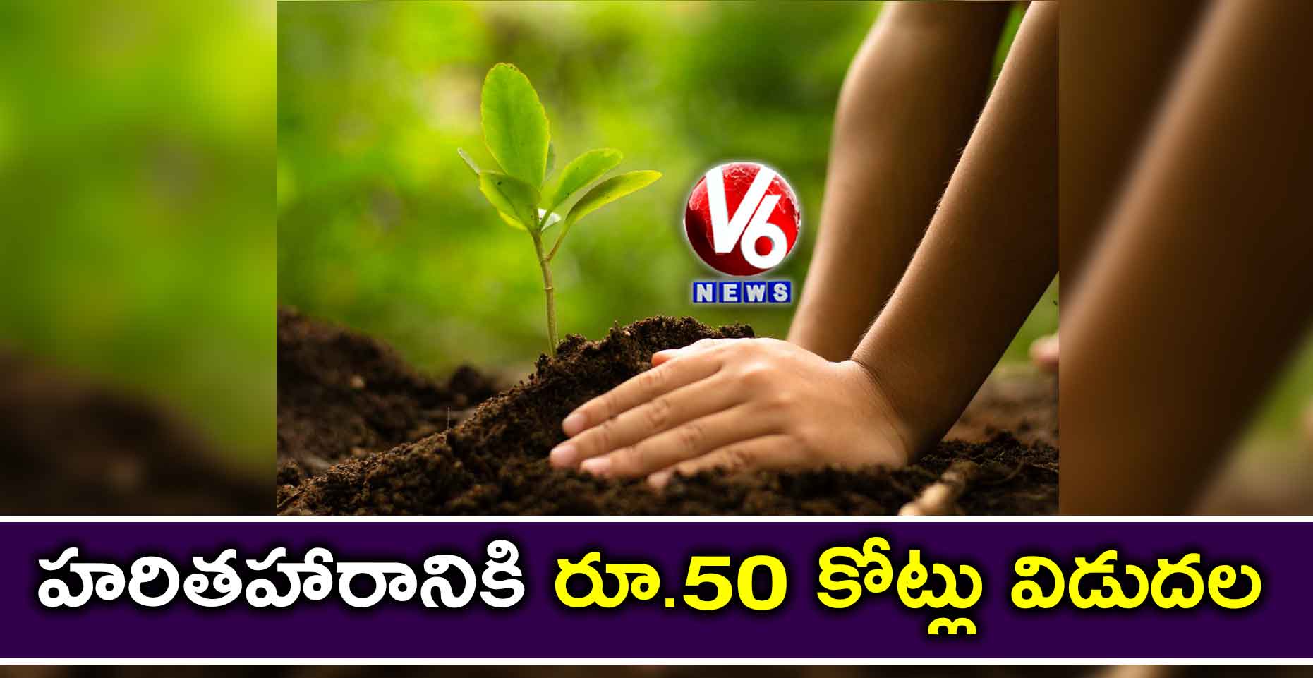 హరితహారానికి రూ.50 కోట్లు విడుదల
