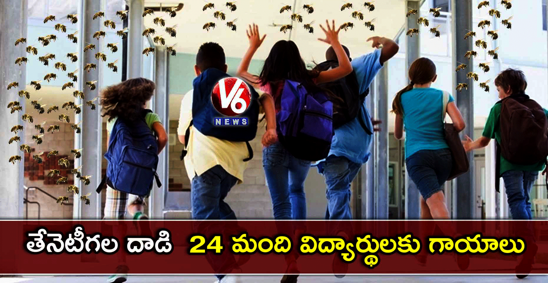 తేనెటీగల దాడి : 24 మంది విద్యార్థులకు గాయాలు