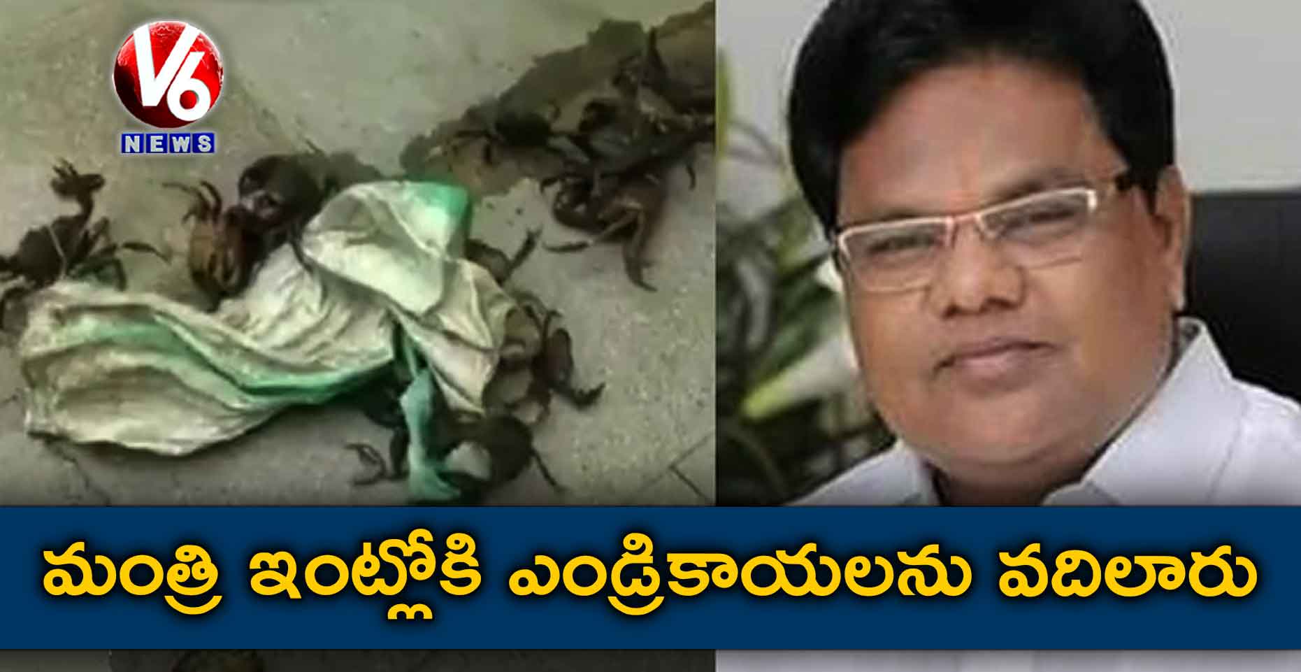 వీడియో: మంత్రి ఇంట్లోకి ఎండ్రికాయలను వదిలారు