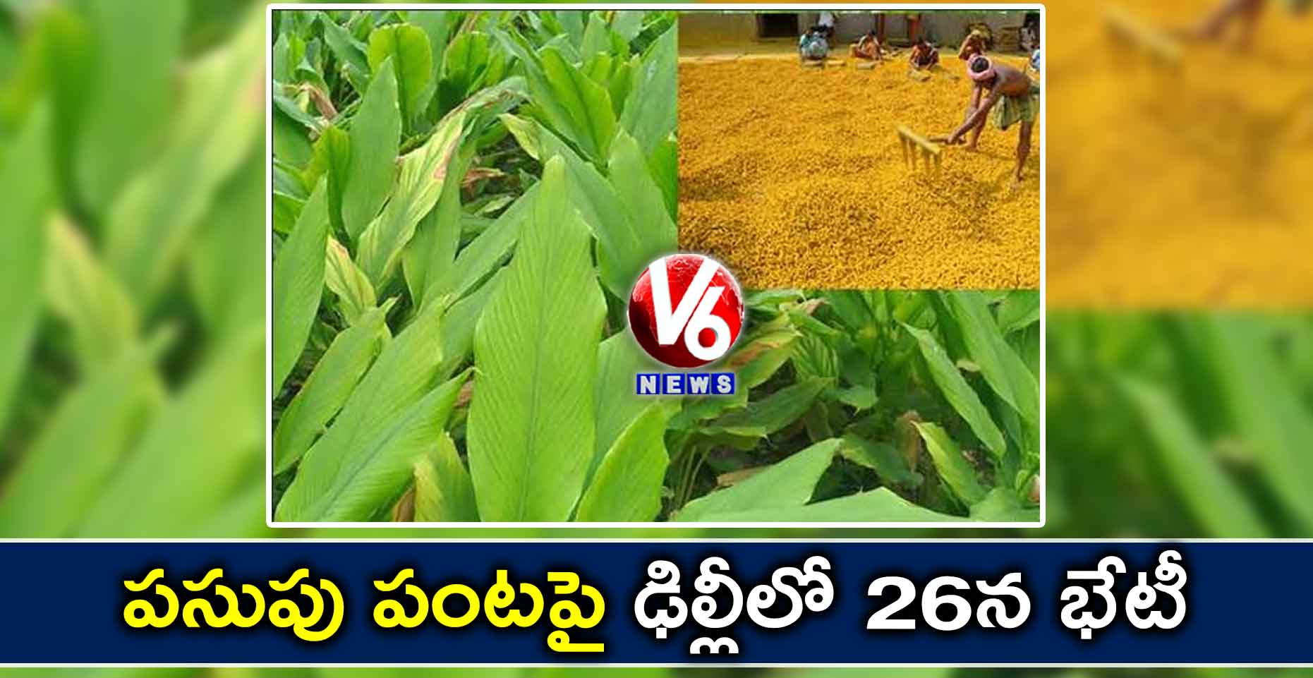 పసుపు పంటపై ఢిల్లీలో 26న భేటీ