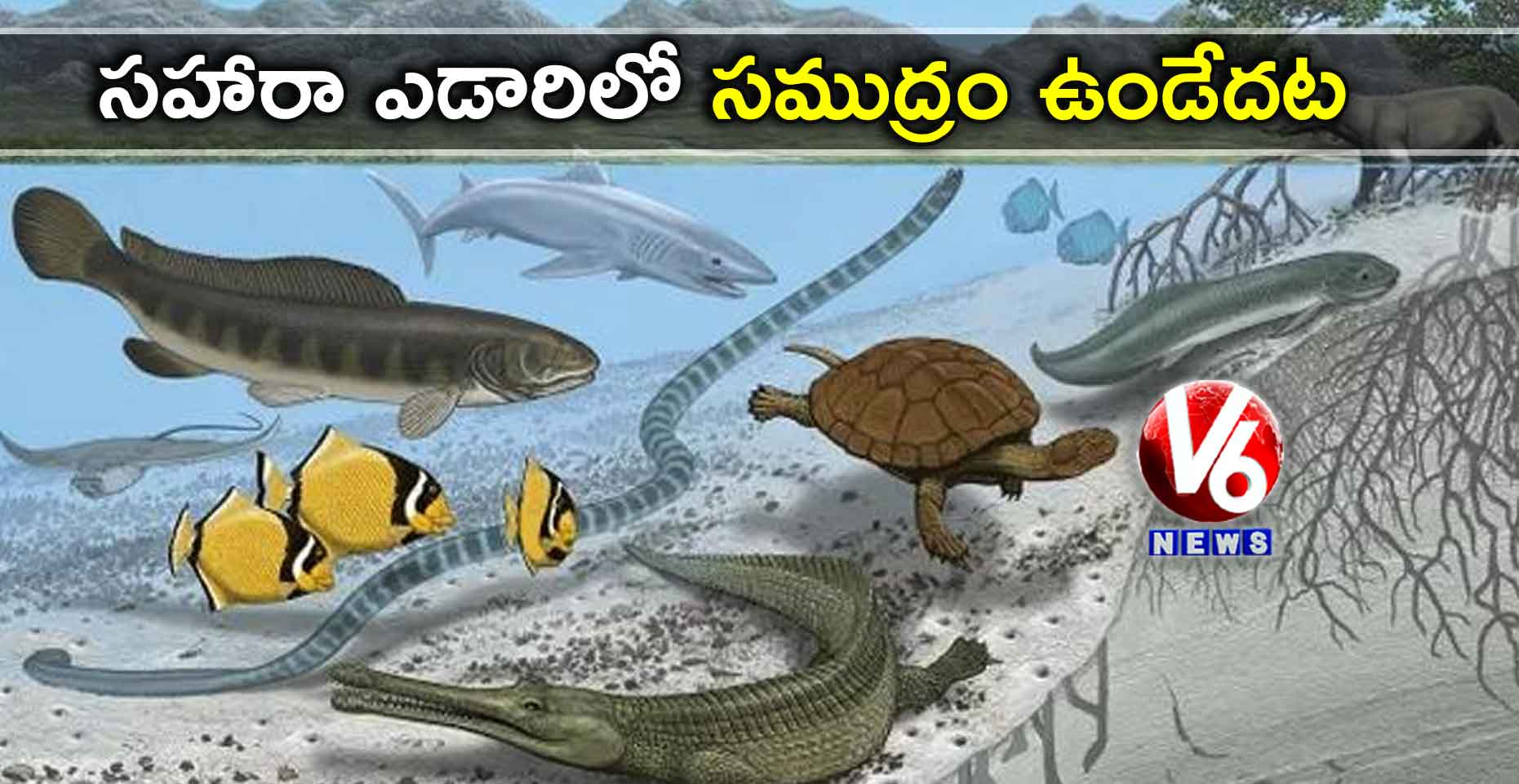 సహారా ఎడారిలో సముద్రం ఉండేదట