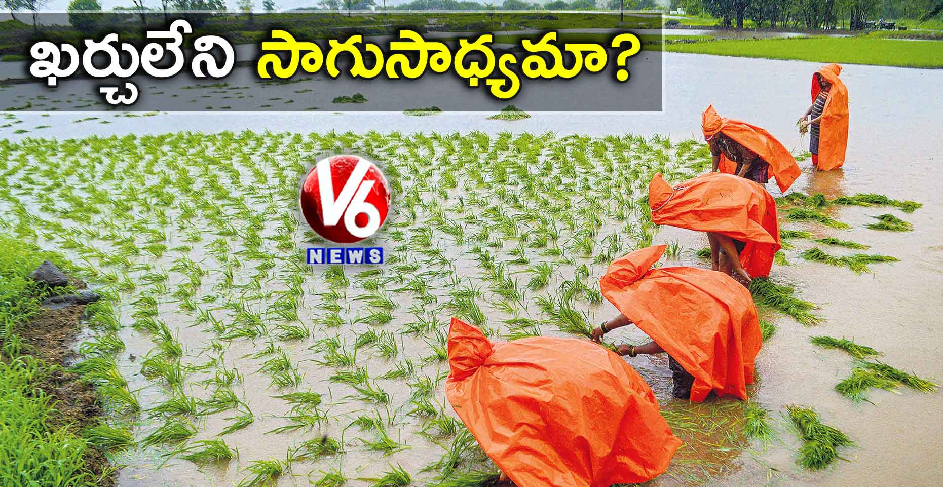 ఖర్చులేని  సాగుసాధ్యమా?