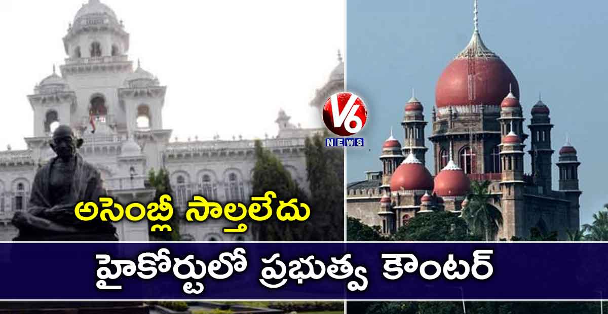 అసెంబ్లీ సాల్తలేదు: హైకోర్టులో ప్రభుత్వ కౌంటర్