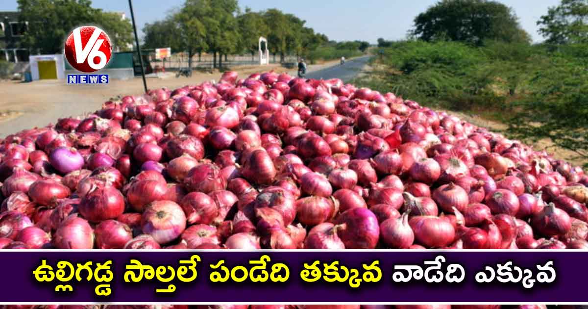 ఉల్లిగడ్డ సాల్తలే : పండేది తక్కువ.. వాడేది ఎక్కువ