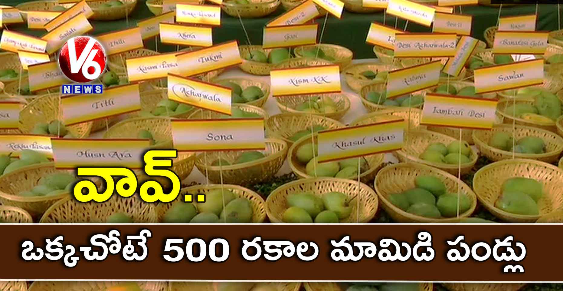 వావ్.. ఒక్కచోటే 500 రకాల మామిడి పండ్లు