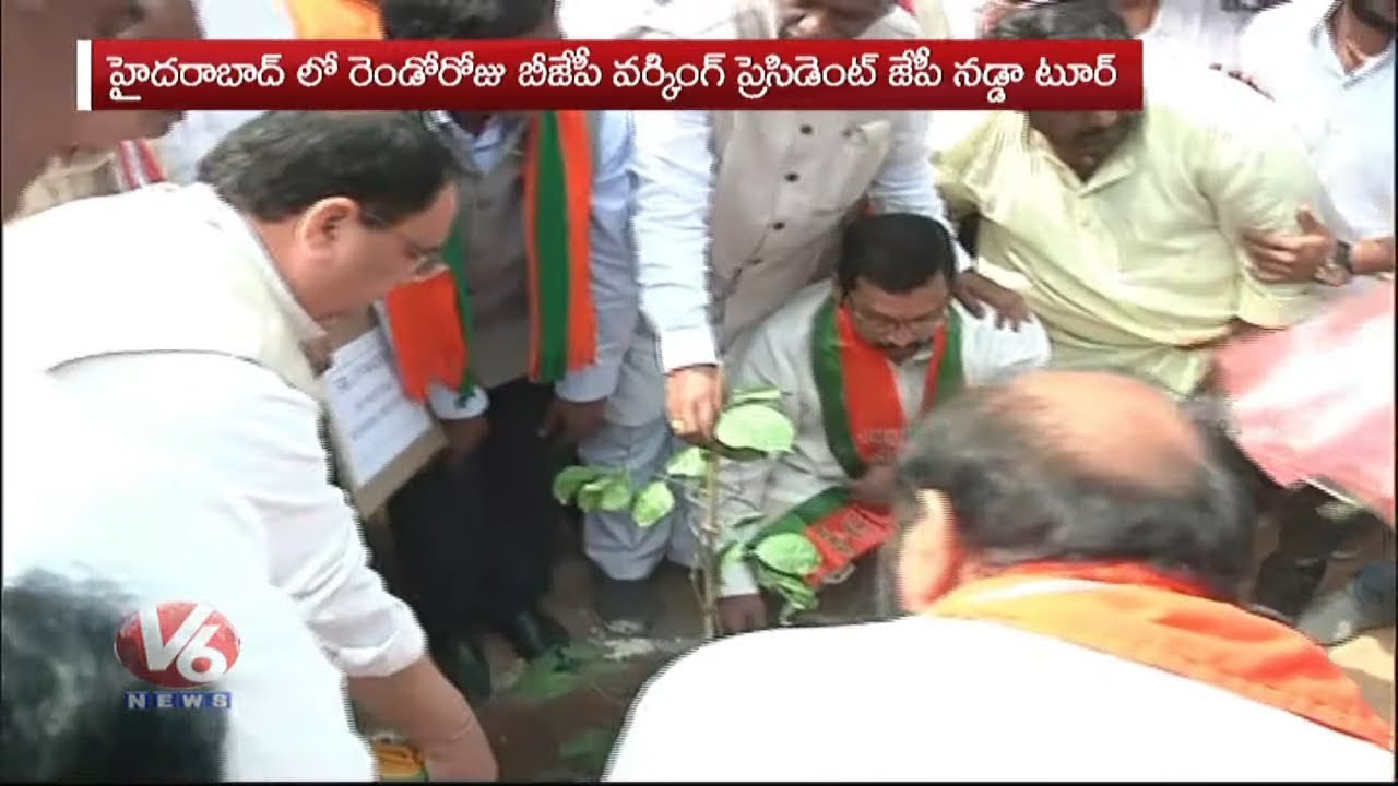 BJP Working President JP Nadda Plant Sapling In Ambedkar College, Hyderabad |