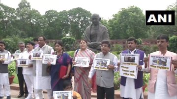 పార్లమెంట్ ముందు ఎంపీల నిరసన