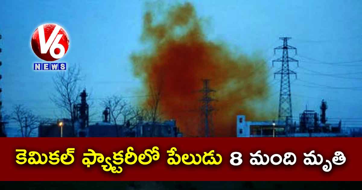 కెమికల్ ఫ్యాక్టరీలో పేలుడు..8 మంది మృతి