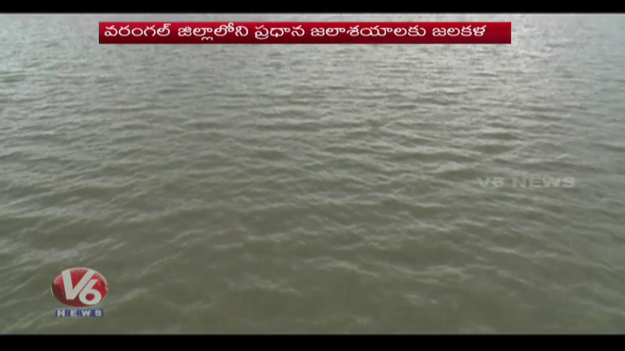 Warangal District Ponds Filled With Flood Water | Rain Effect |
