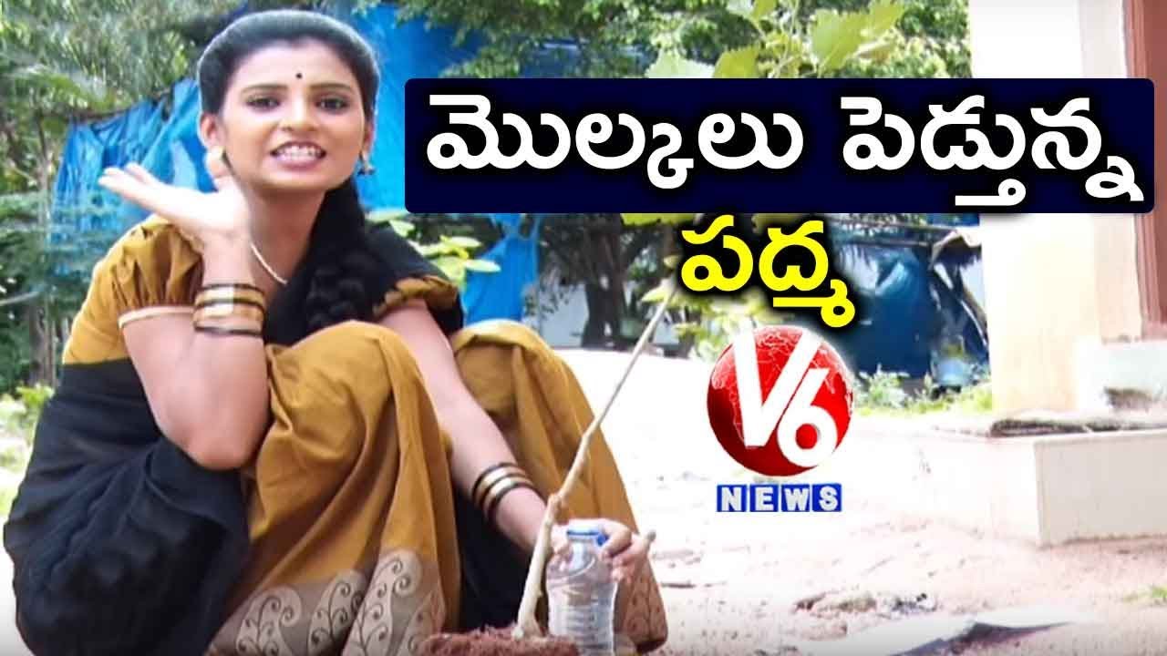 Padma Over Haritha Haram Saplings | Conversation With Chandravva |