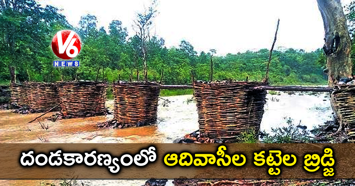 దండకారణ్యంలో ఆదివాసీల కట్టెల బ్రిడ్జి