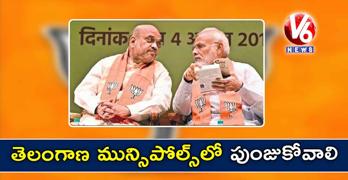 తెలంగాణ మున్సిపోల్స్లో పుంజుకోవాలి: అమిత్ షా