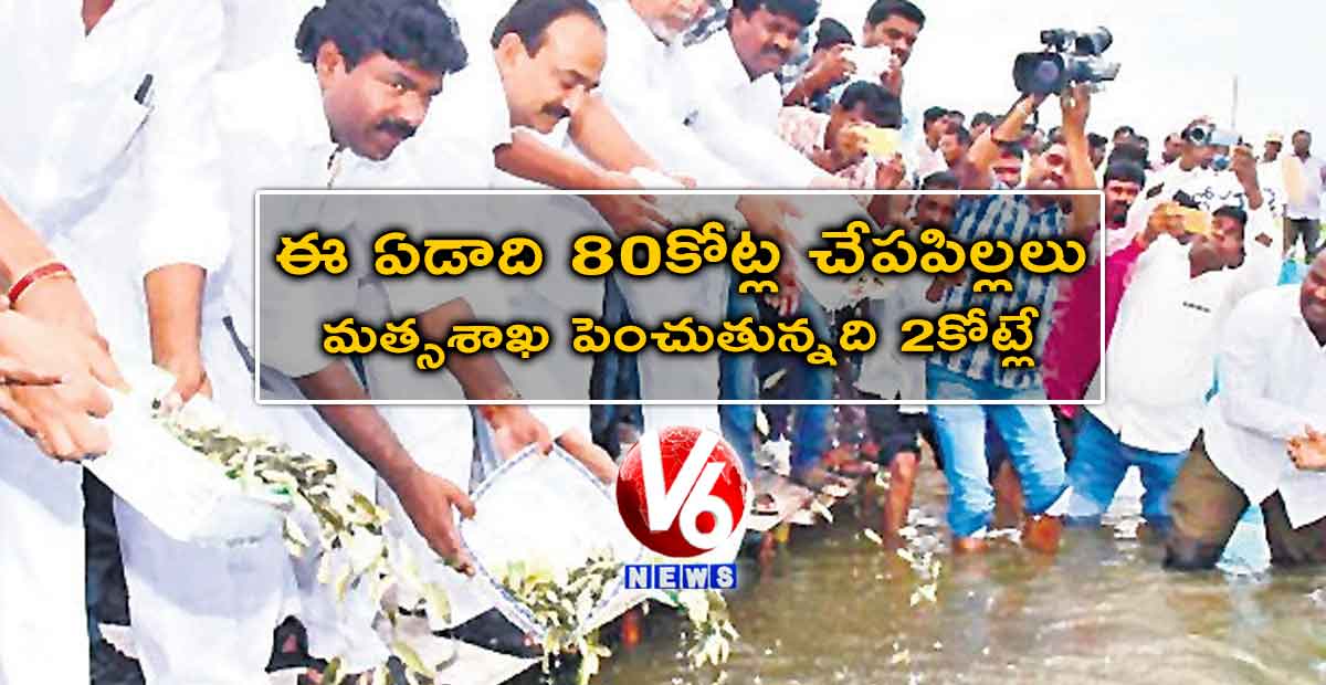ఈ ఏడాది 80కోట్ల చేపపిల్లలు.. మత్సశాఖ పెంచుతున్నది 2కోట్లే