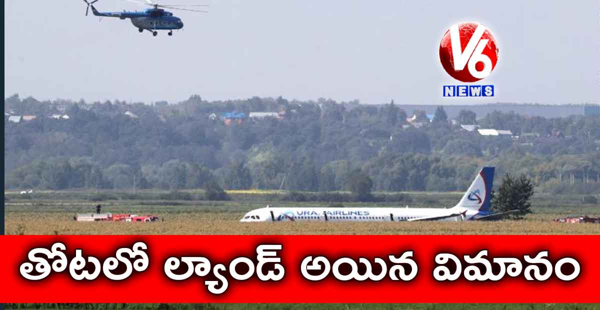 తోటలో ల్యాండ్ అయిన విమానం..