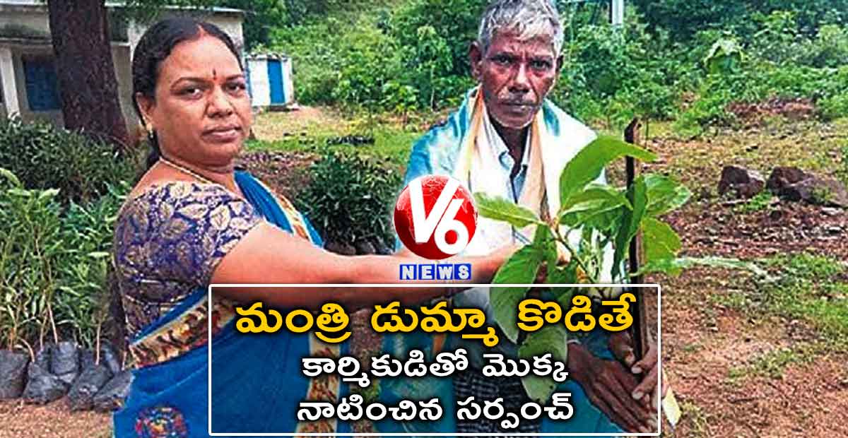 మంత్రి డుమ్మా కొడితే కార్మికుడితో మొక్క నాటించిన సర్పంచ్