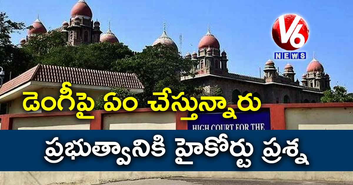 డెంగీపై ఏం చేస్తున్నారు? ప్రభుత్వానికి హైకోర్టు ప్రశ్న