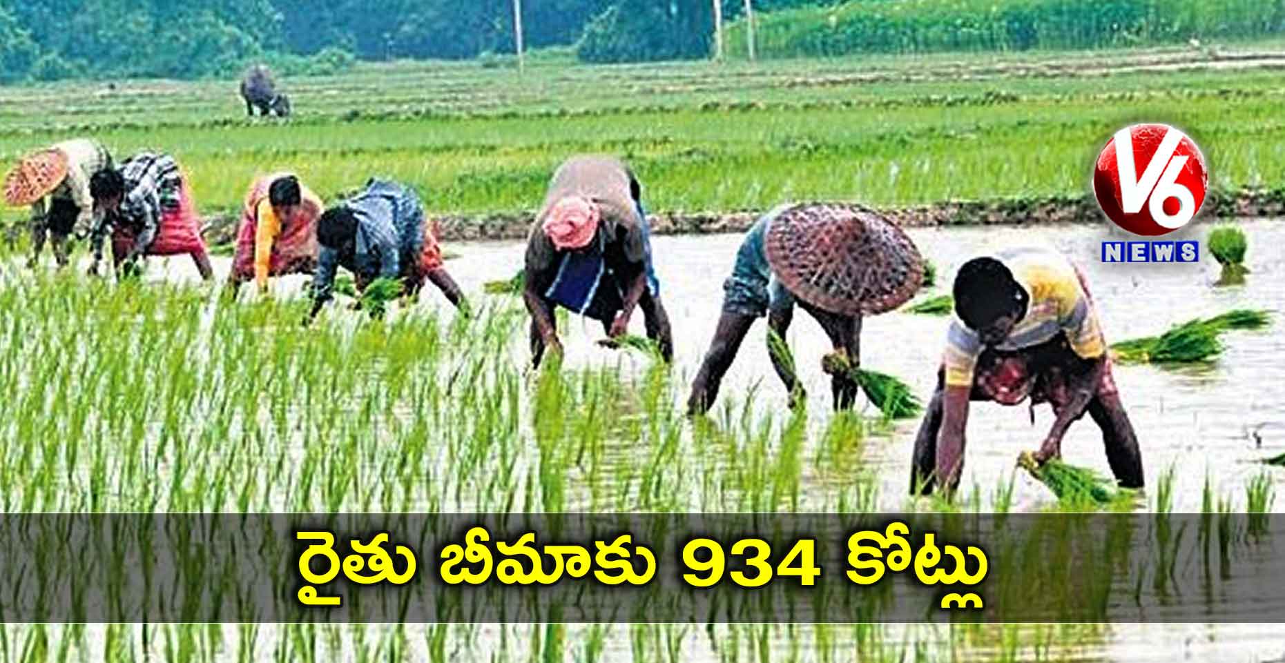 రైతు బీమాకు 934 కోట్లు
