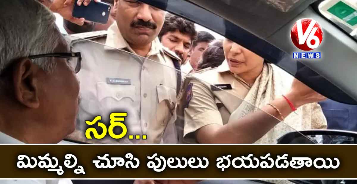 సర్.. మిమ్మల్ని చూసి పులులు భయపడతాయి