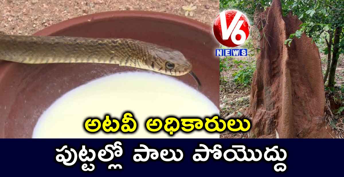 పుట్టల్లో పాలు పోయొద్దు : అటవీ అధికారులు