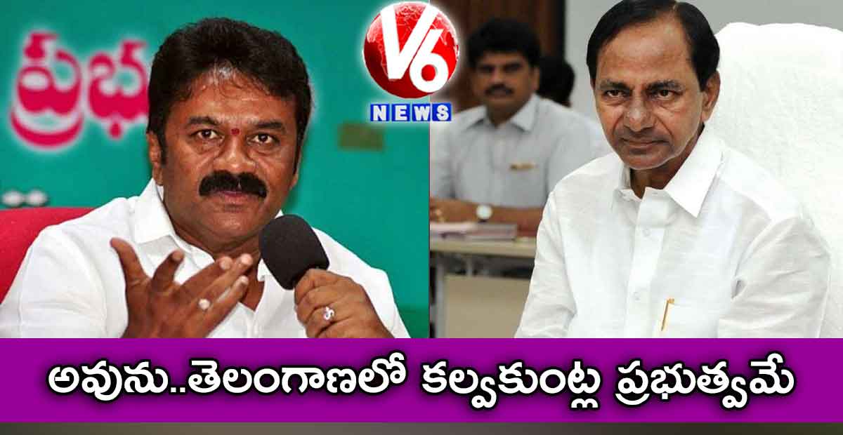 అవును..తెలంగాణలో కల్వకుంట్ల ప్రభుత్వమే: తలసాని