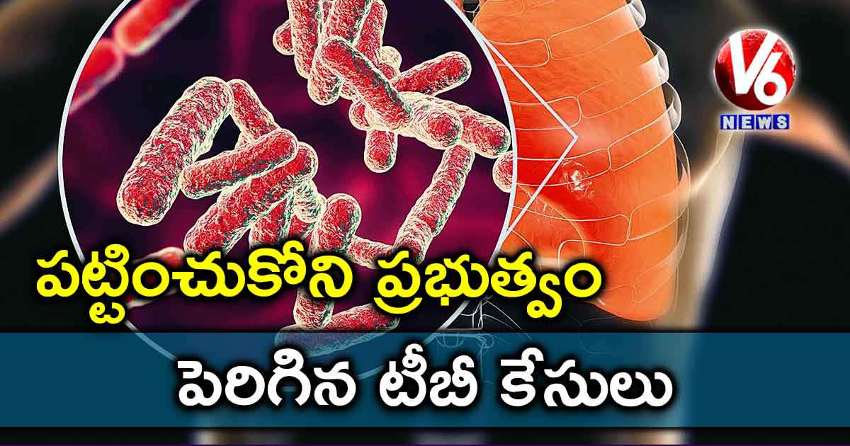 పట్టించుకోని ప్రభుత్వం..పెరిగిన టీబీ కేసులు