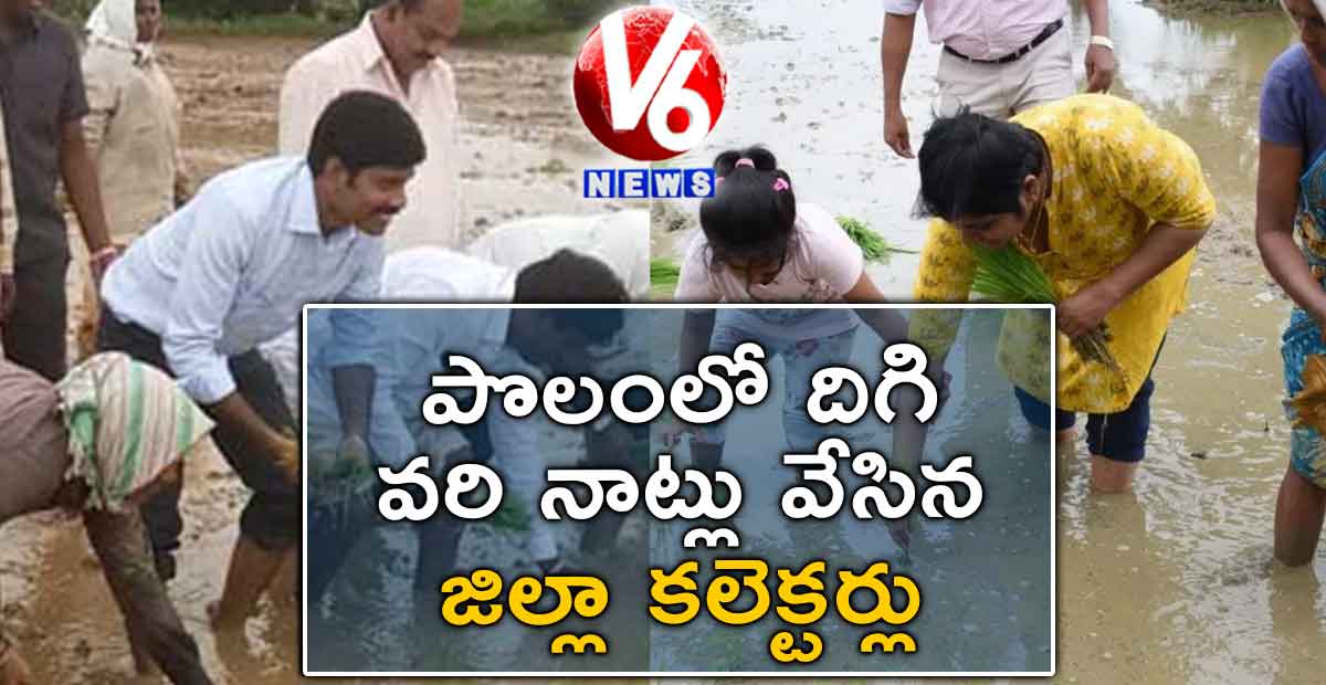 పొలంలో దిగి వరి నాట్లు వేసిన జిల్లా కలెక్టర్లు