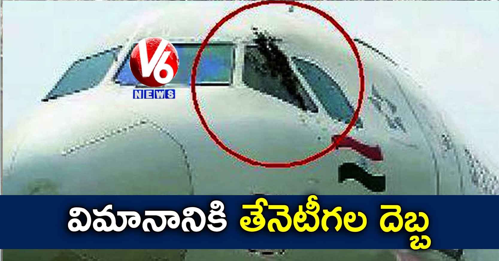 విమానానికి తేనెటీగల దెబ్బ