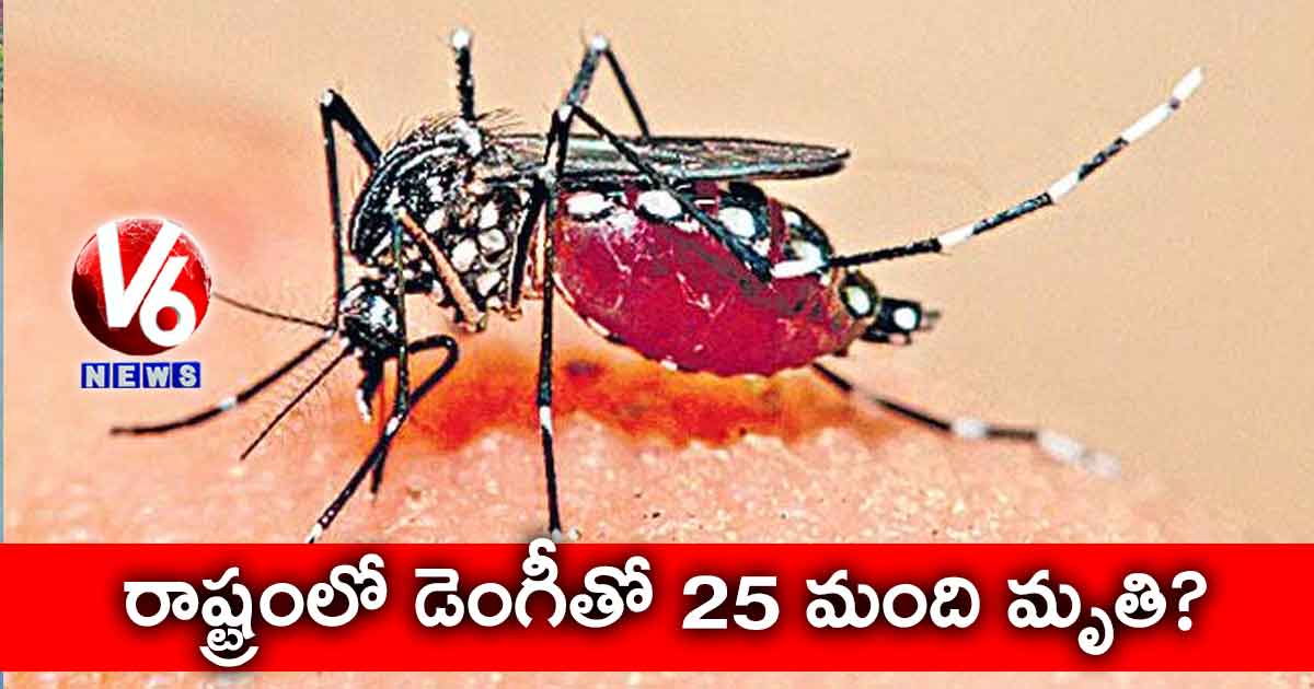 రాష్ట్రంలో డెంగీతో 25 మంది మృతి?