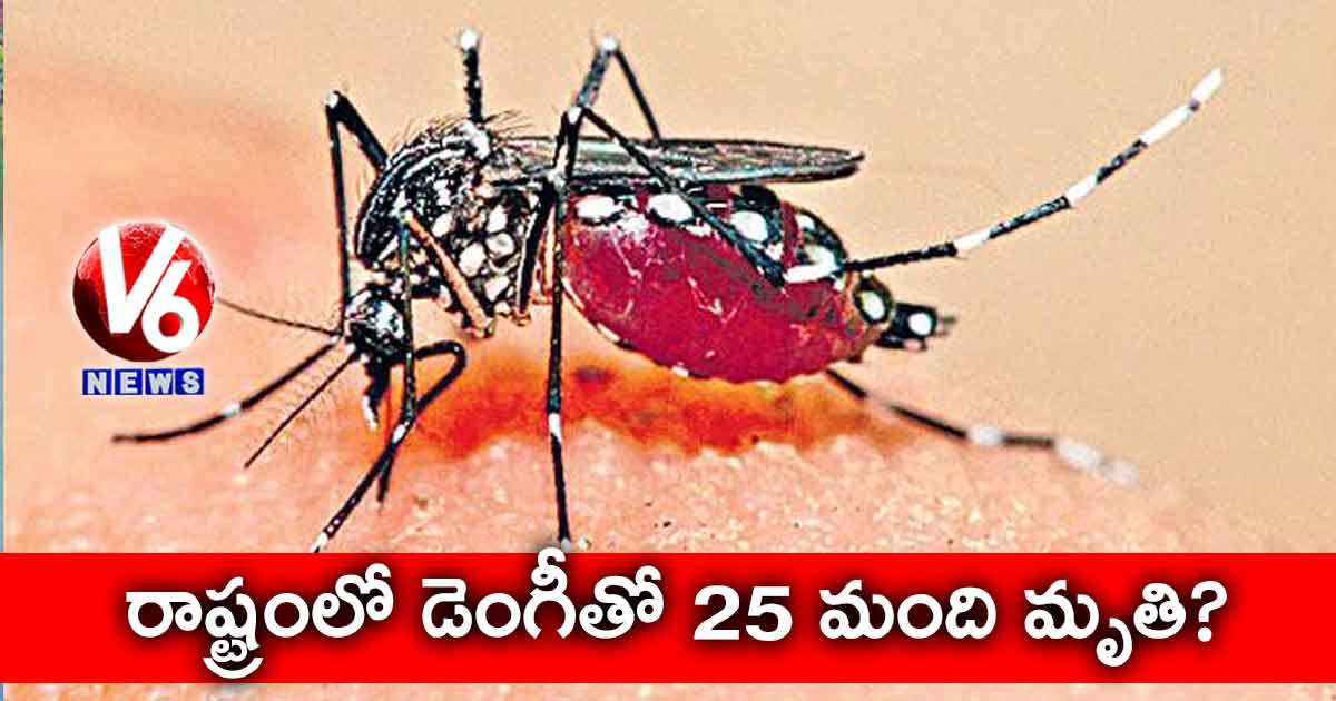 రాష్ట్రంలో డెంగీతో 25 మంది మృతి?