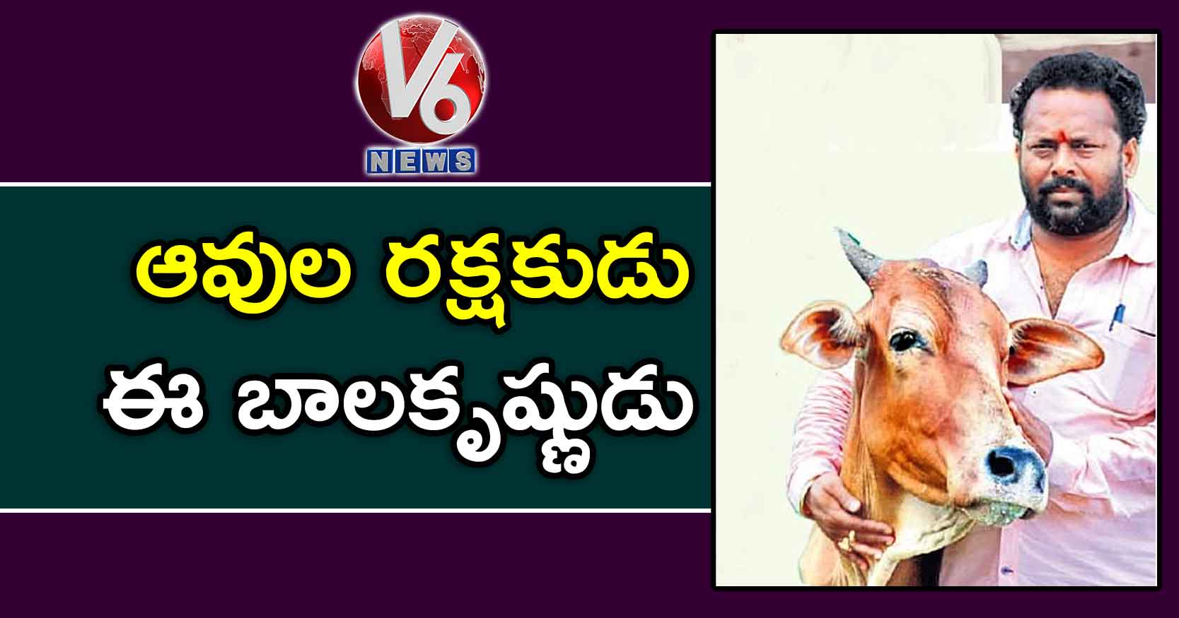 ఆవుల రక్షకుడు ఈ బాలకృష్ణుడు