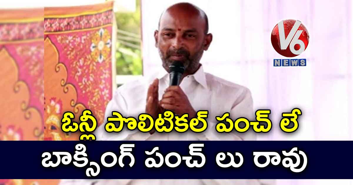 ఓన్లీ పొలిటికల్ పంచ్ లే..బాక్సింగ్ పంచ్ లు రావు
